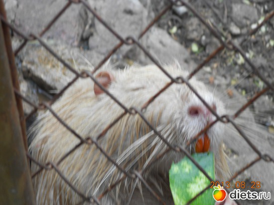 10 фото: Отдых