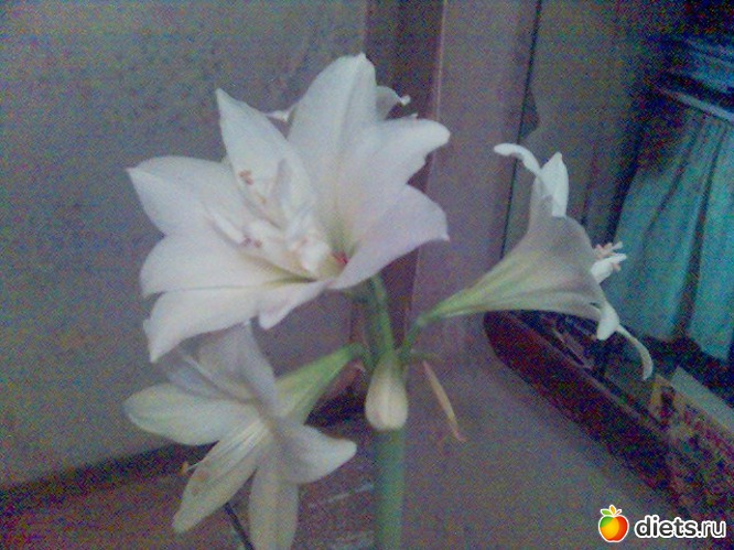 29 ����: ��� �����.