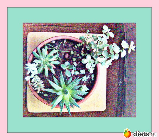 ����� � ������, ������: ��� �����.