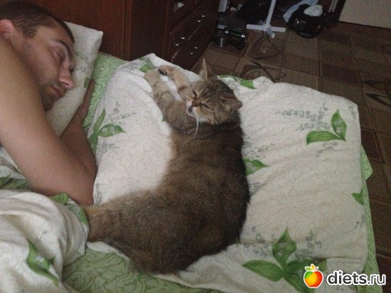 ������ ��� �����))), ������: �������� ���� - ����