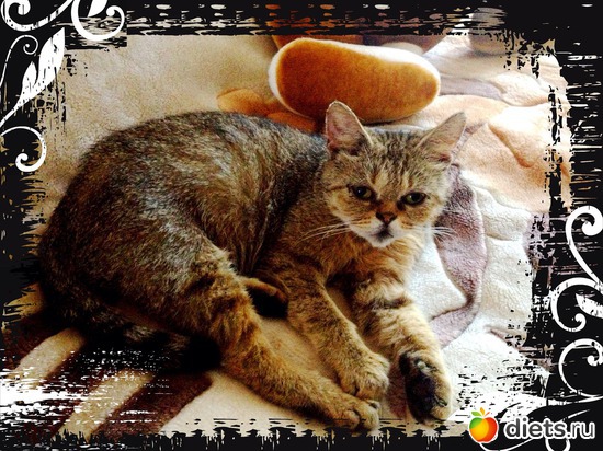 8 ����: �������� ���� - ����