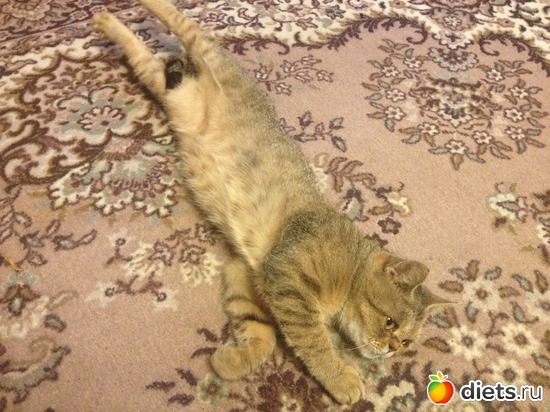 9 ����: �������� ���� - ����