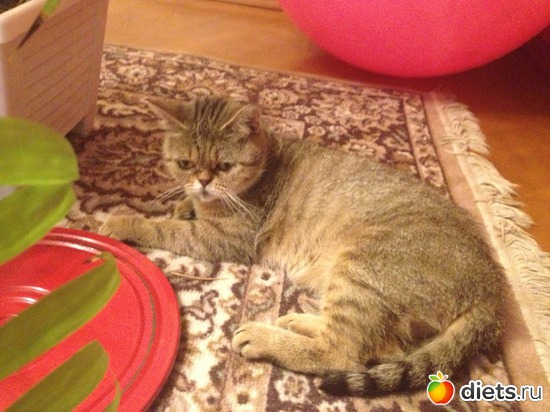 11 ����: �������� ���� - ����