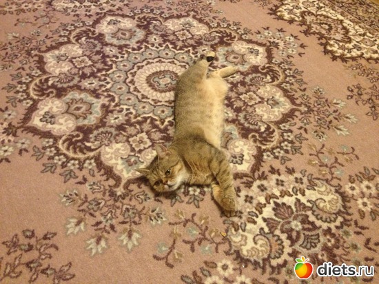 13 ����: �������� ���� - ����