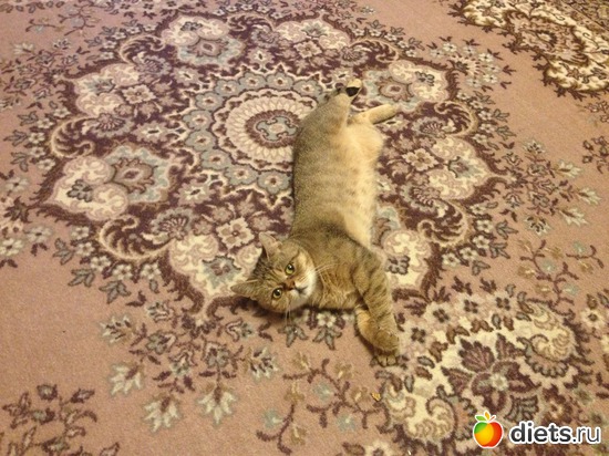 14 ����: �������� ���� - ����