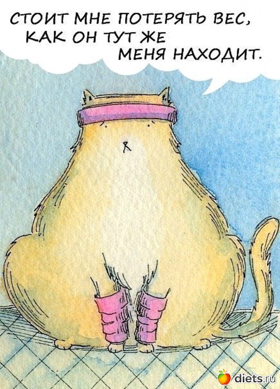 6 ����: ����� ����