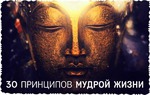 30 Принципов мудрой жизни