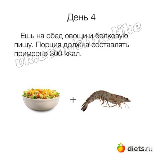 19 ����: ����� ����