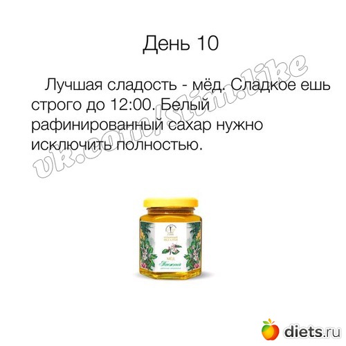 24 ����: ����� ����