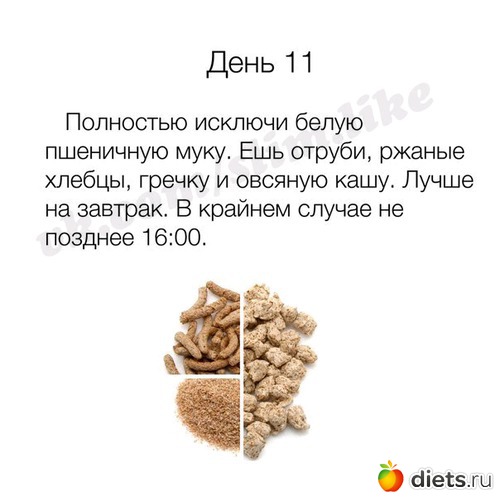 26 ����: ����� ����