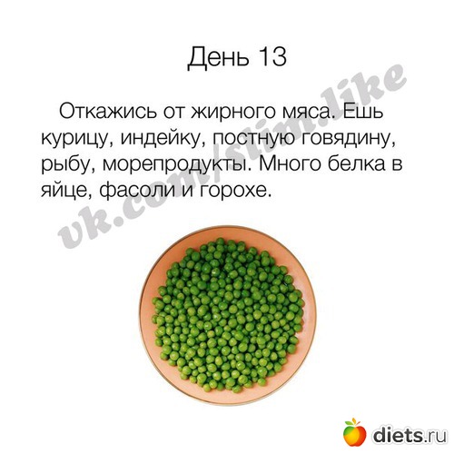 28 ����: ����� ����