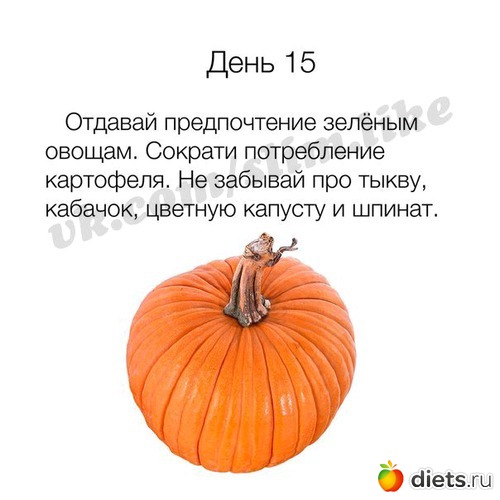 30 ����: ����� ����