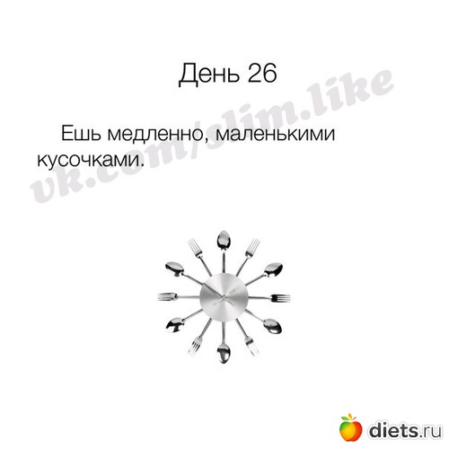 41 ����: ����� ����