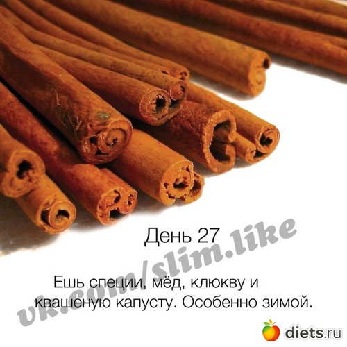 42 ����: ����� ����