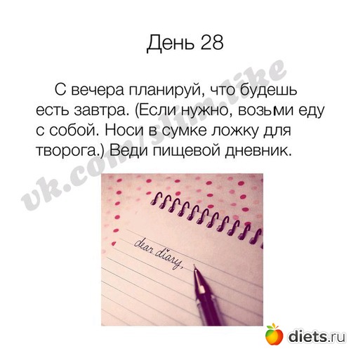 43 ����: ����� ����