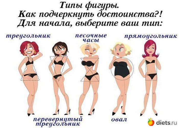 65 ����: ����� ����