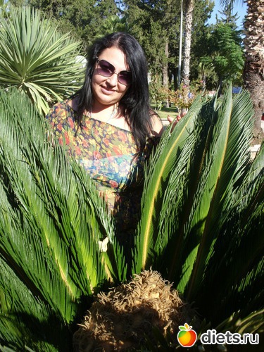 1 ����: ����� .������ .����.2013