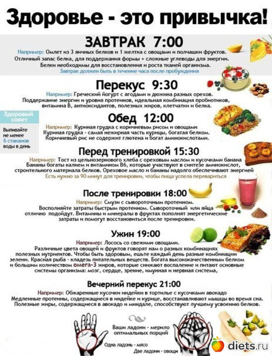 51 ����: ��������