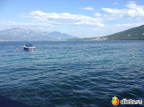 29 фото: Разное