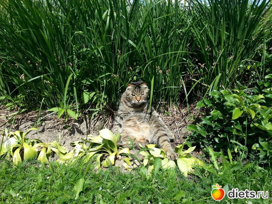 16 ����: ��� ����