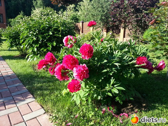 2 ����: �����