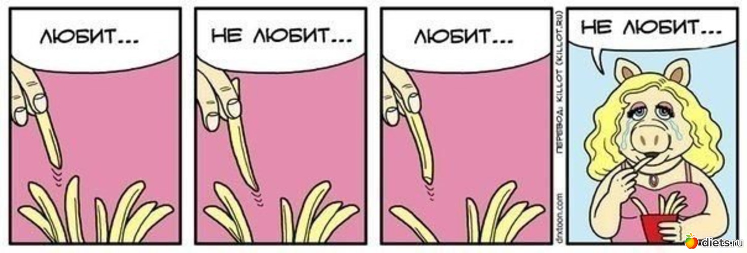 11 ����: �����������-�������������