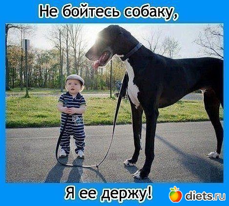 �����-��������.