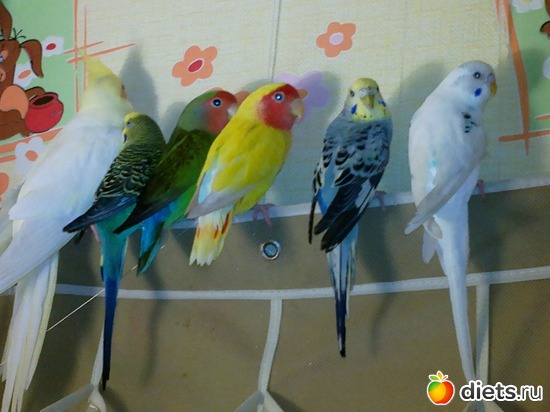 1 ����: ��� ������