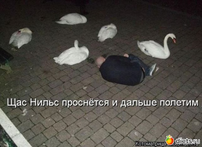 36 ����: ��������!