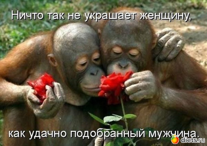 42 ����: ��������!