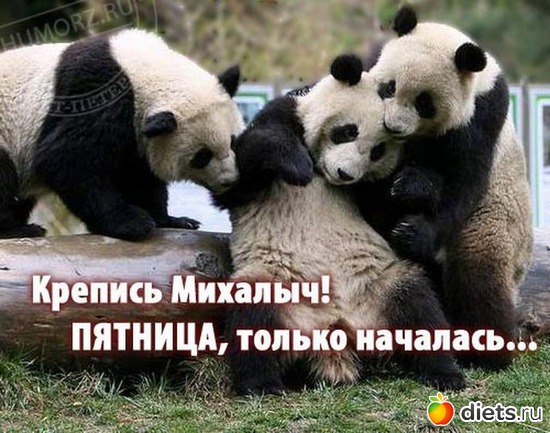 14 ����: ���������