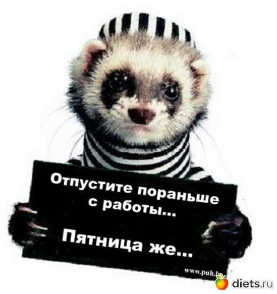 15 ����: ���������