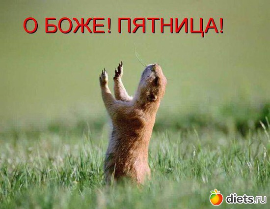 16 фото: Мотивашки