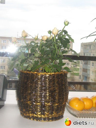 Кашпо (плетение из газетных трубочек), альбом: Мое хобби-работа РУКОДЕЛИЕ-плетение из бумажной лозы