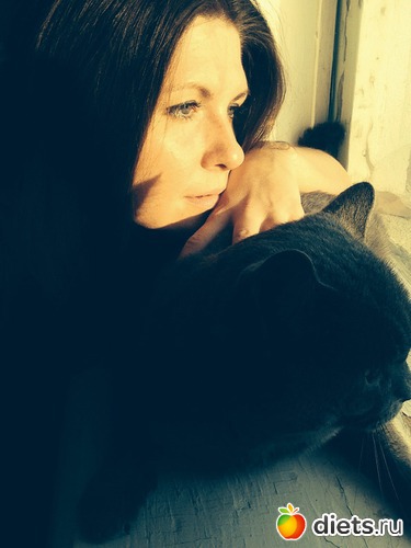 12 ����: �