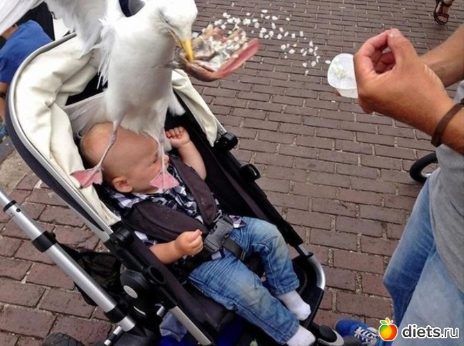 5 ����: ����.