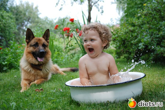 8 ����: ����.