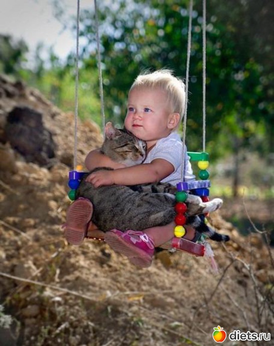 10 ����: ����.