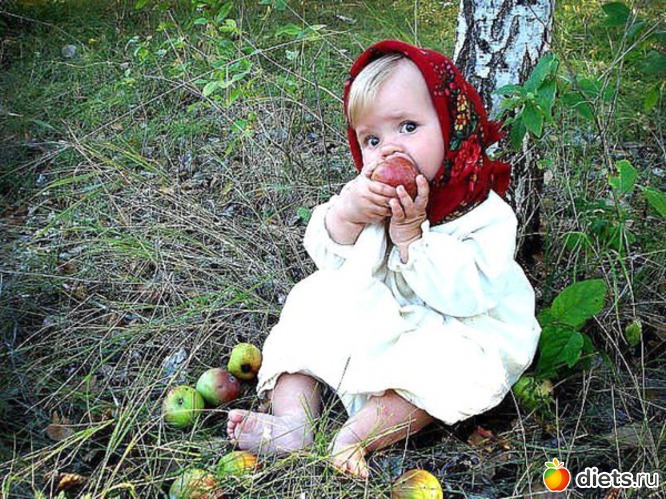 11 ����: ����.