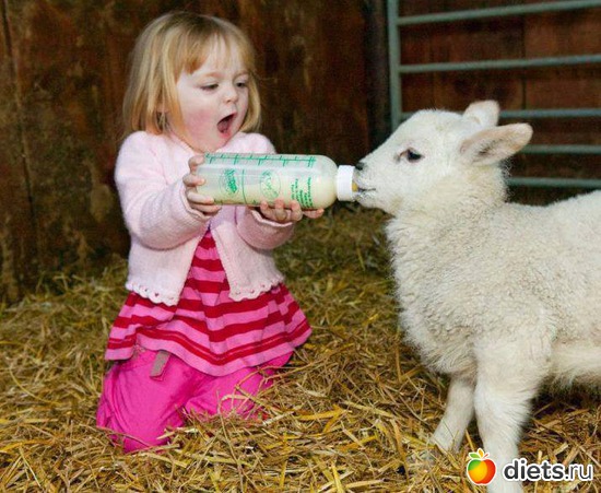 12 ����: ����.