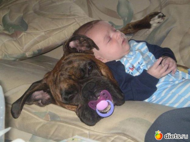 14 ����: ����.