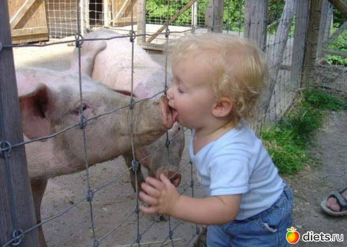 16 ����: ����.