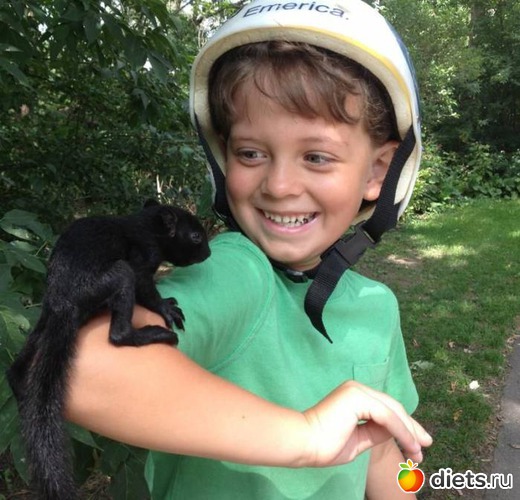 18 ����: ����.