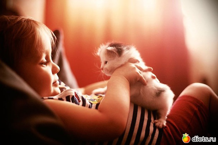 19 ����: ����.