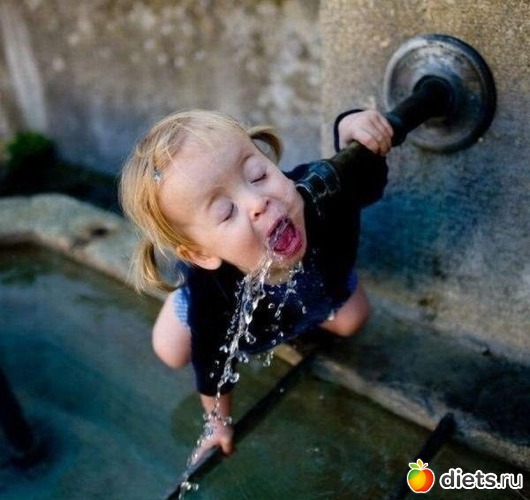 29 ����: ����.