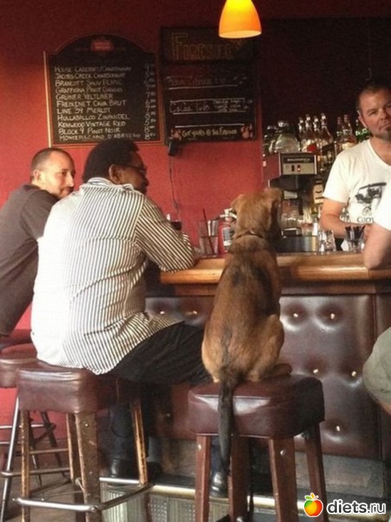 4 ����: ��������, �������.