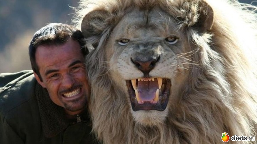 10 ����: ��������, �������.