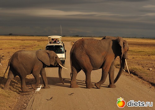 ��������, �������.