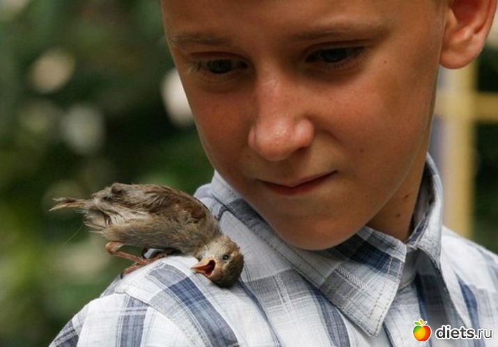 14 ����: ��������, �������.