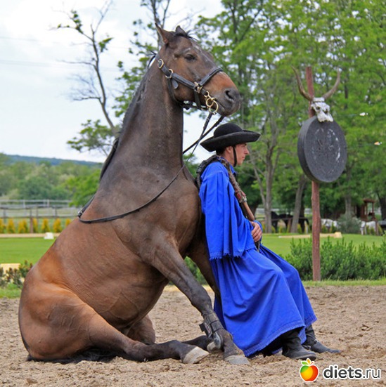 17 ����: ��������, �������.